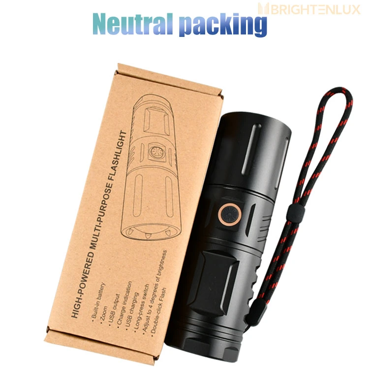 Rechargeable LED Torch Light