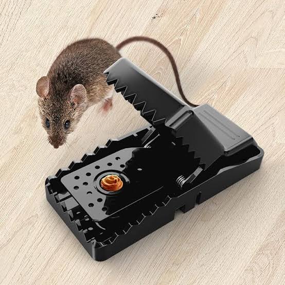 Mouse Killer Trap (5×3×3 inches)