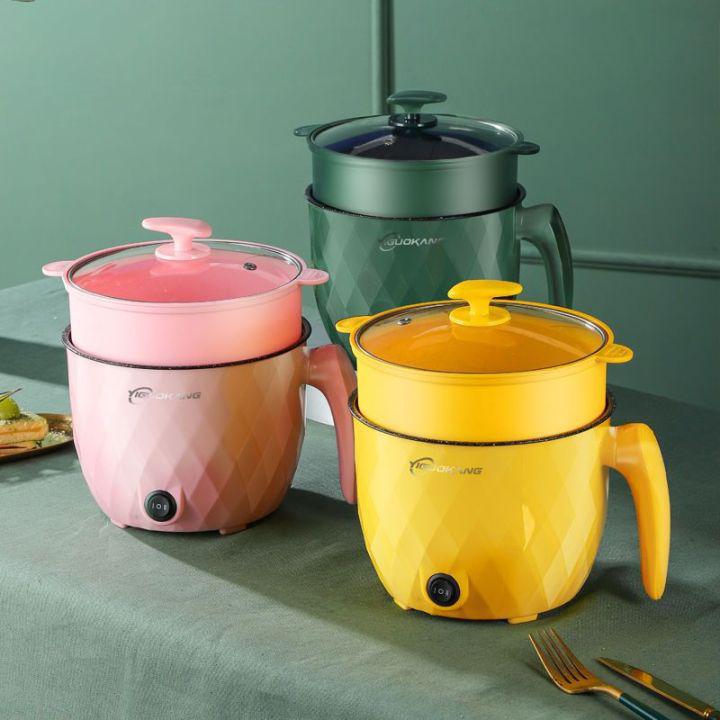 Mini multi cooker