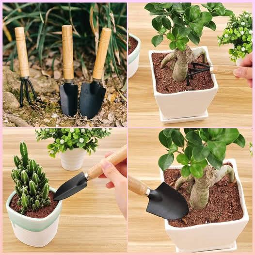 🌱 Mini Garden Tool Set – মিনি গার্ডেন টুল সেট 🌿