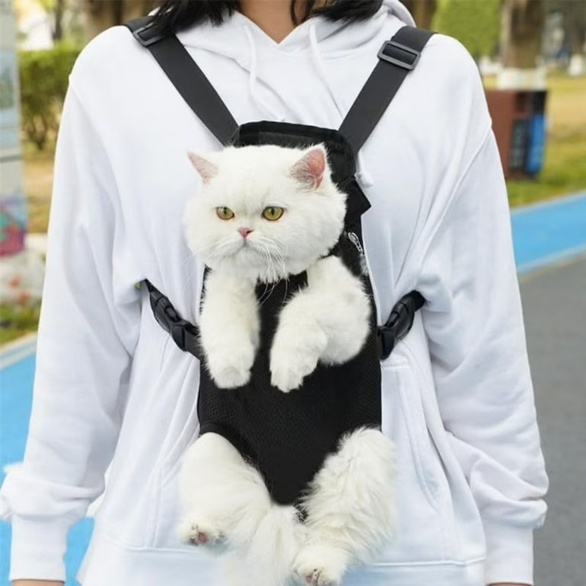 Premium Cat Front Carrier Harness 🐱