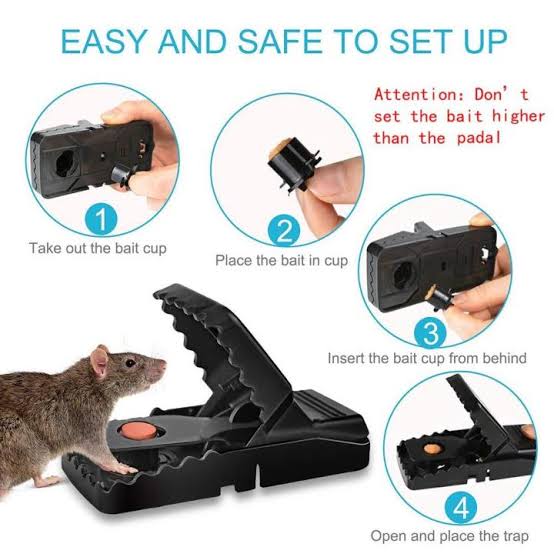 Mouse Killer Trap (5×3×3 inches)