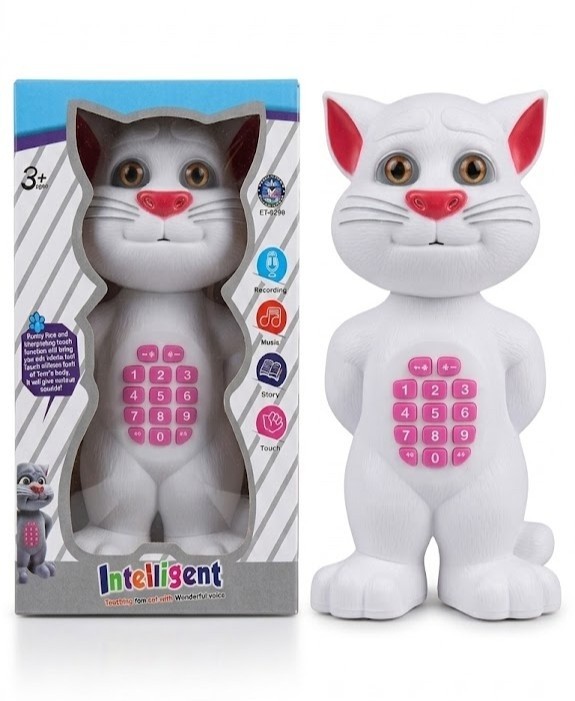 Inteiligent talking cat